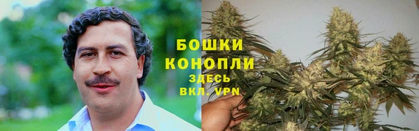 спиды Абаза